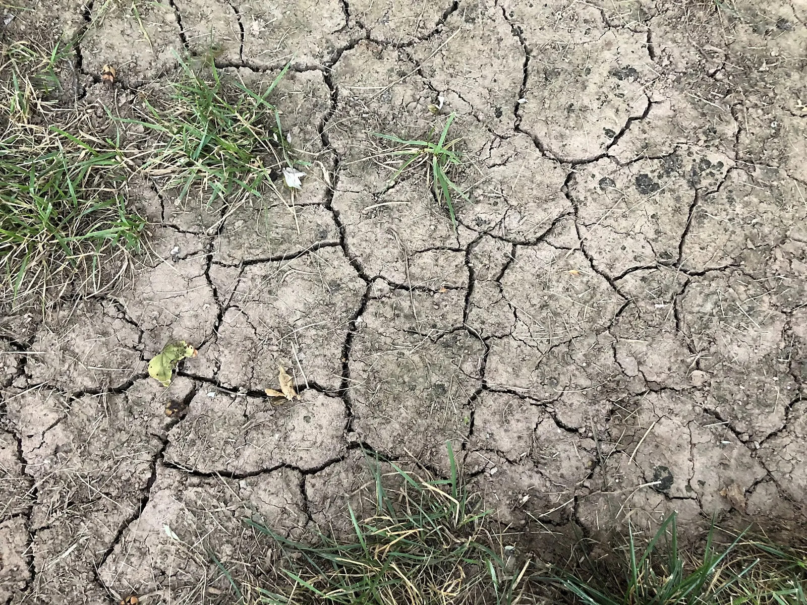 خاک ترکخوردهی مزرعه در خشکسالی